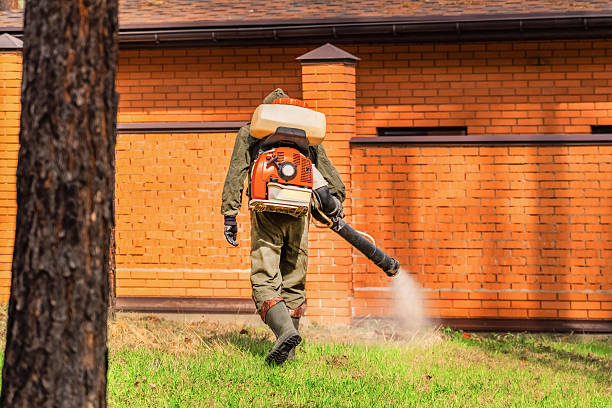 Trusted Bed Bug Control service in Millersburg, PA - Nex Pest Control